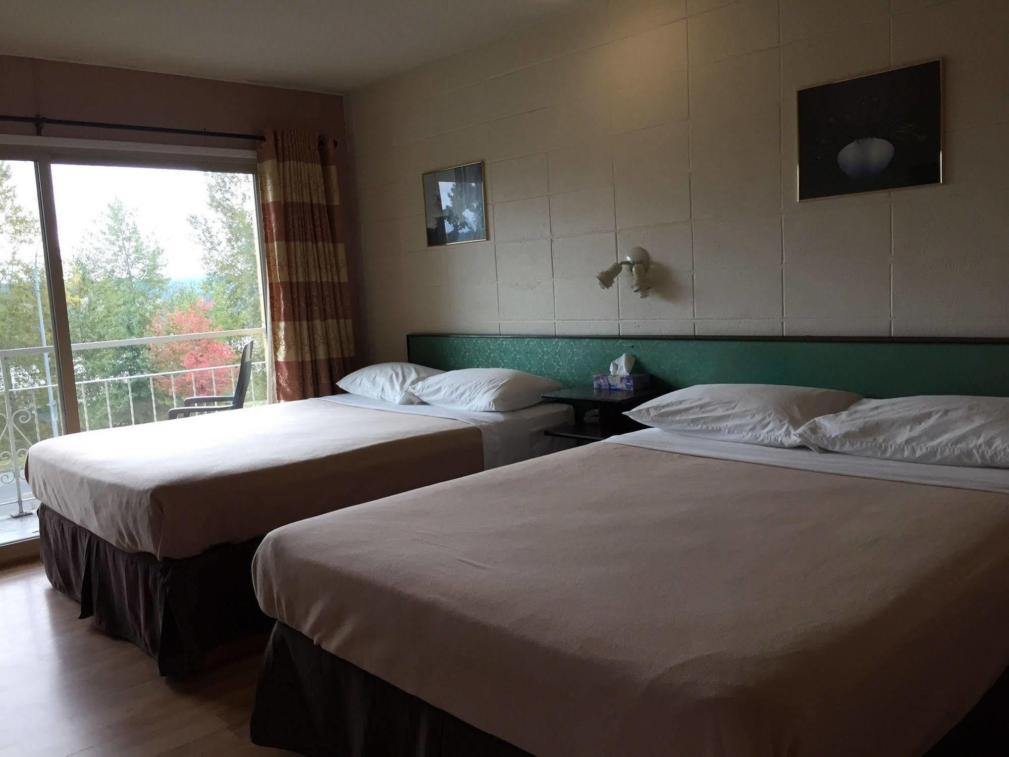 Holiday House Motel Ladysmith Extérieur photo